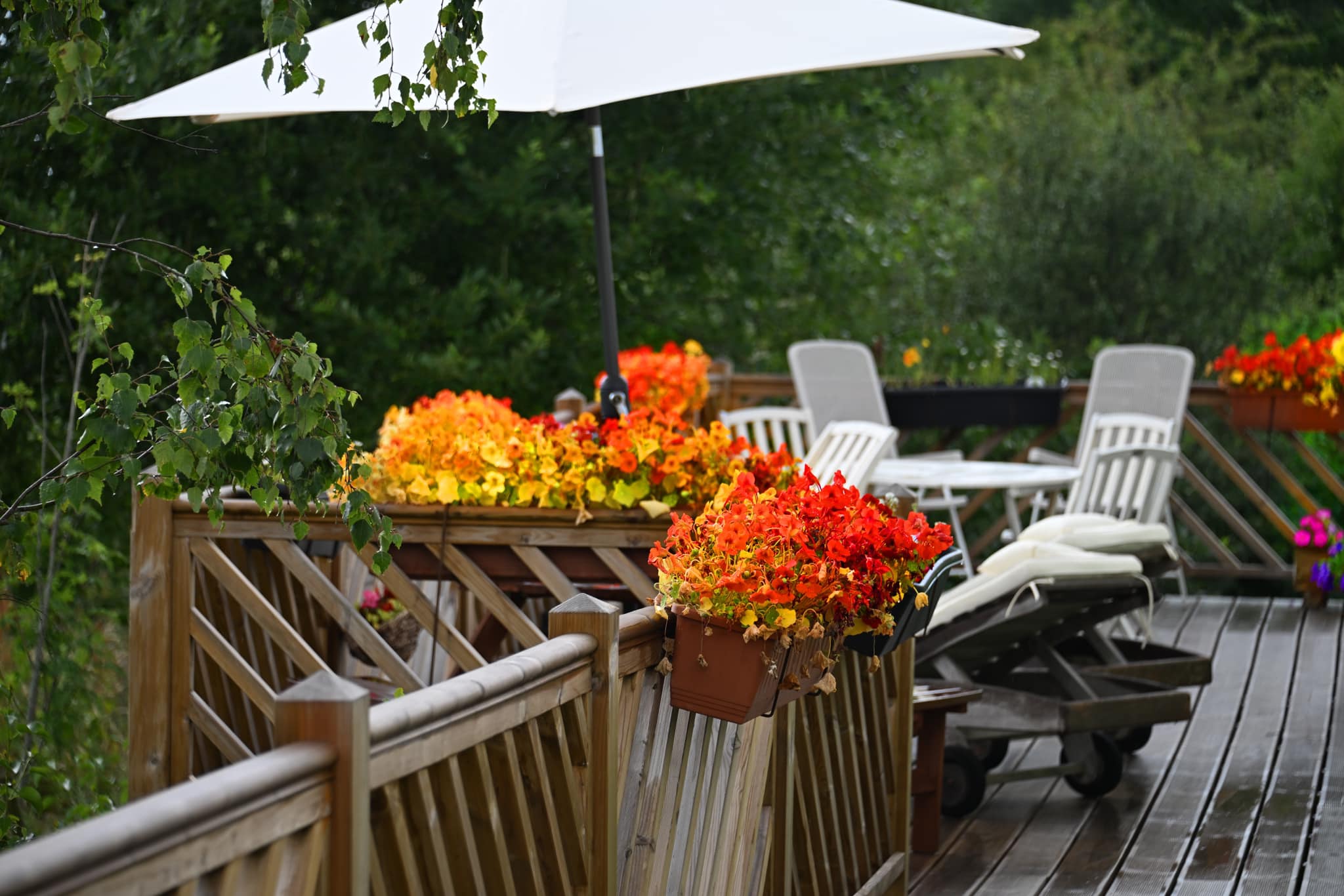 A photograph of the patio are