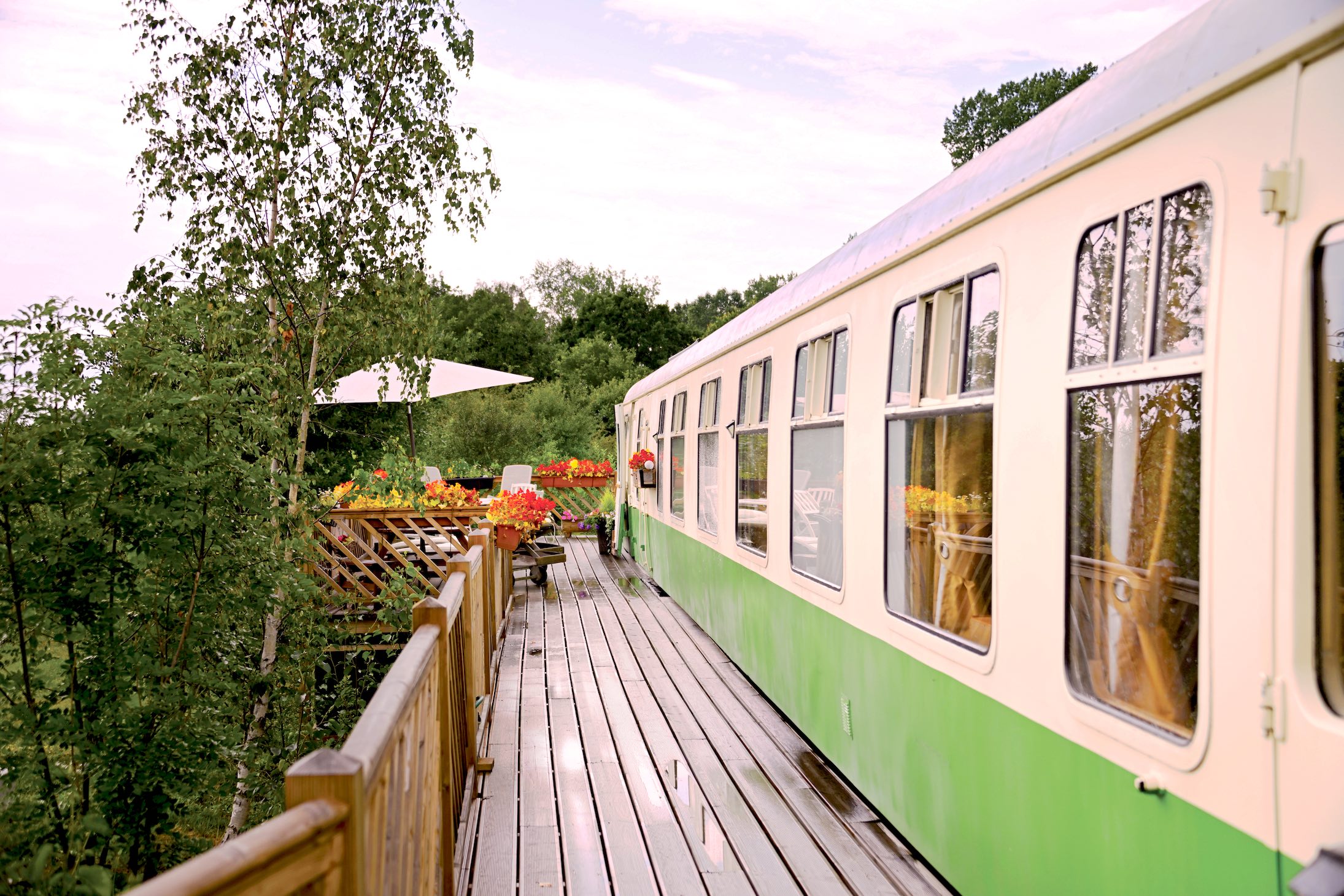 Main banner of the website featuring a picture of the Coach, off-white on the top half with windows, and a green stripe along the bottom. Patio decking is visible in the background, with red and yellow flowers, chairs, table, and a parasol.